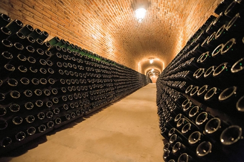 bodegas de vino