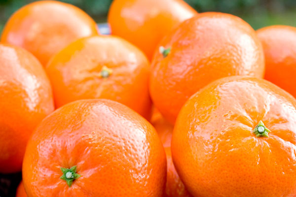 cómo saber si la mandarina está madura
