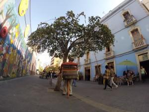 mexico-destino-turistico-2016-ny-times-organillero