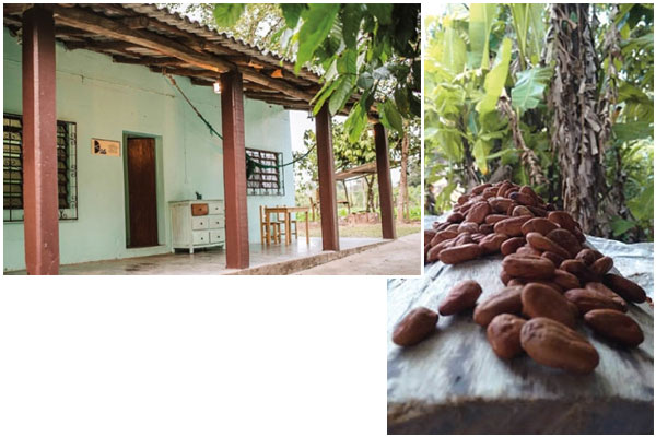 Drupa Museo interactivo del cacao en Tabasco