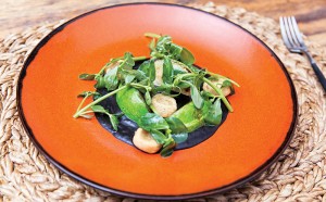 EG-MOLE-CENIZAS-300×186.jpg