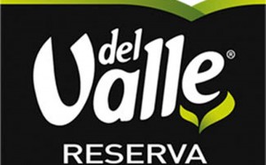jugo-del-valle-logoOK-300×186.jpg