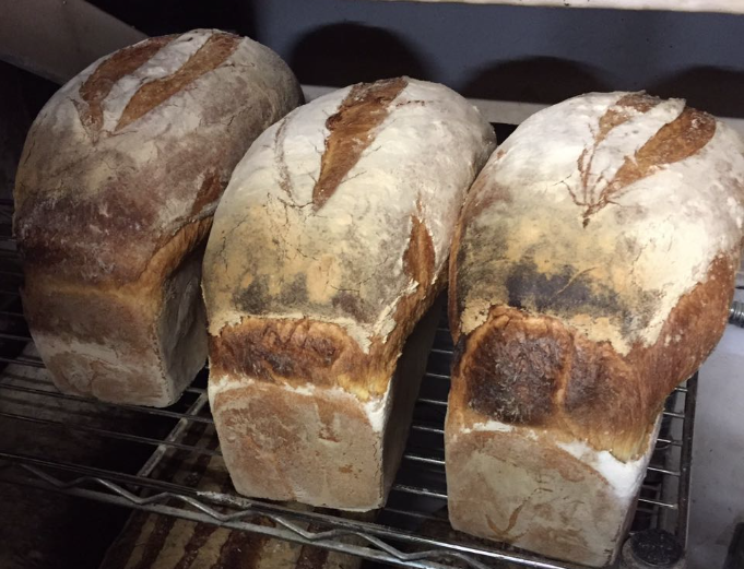 Panadería pancracia. Un corazón de pan en la colonia Roma 0