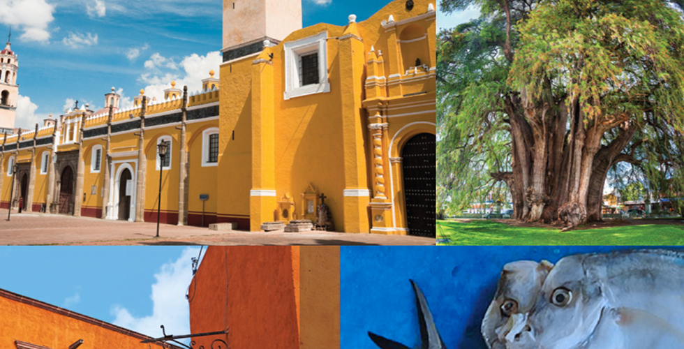 Cuatro regiones mexicanas para conocerlas a pie