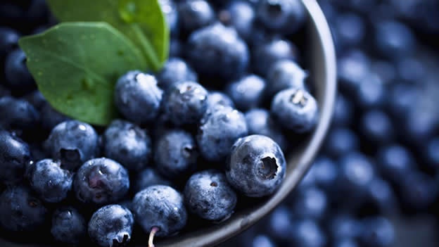 www.kebuena.com_.mx_wp-content_uploads_2015_11_mora-azul-morazul-blueberry-blueberries-1