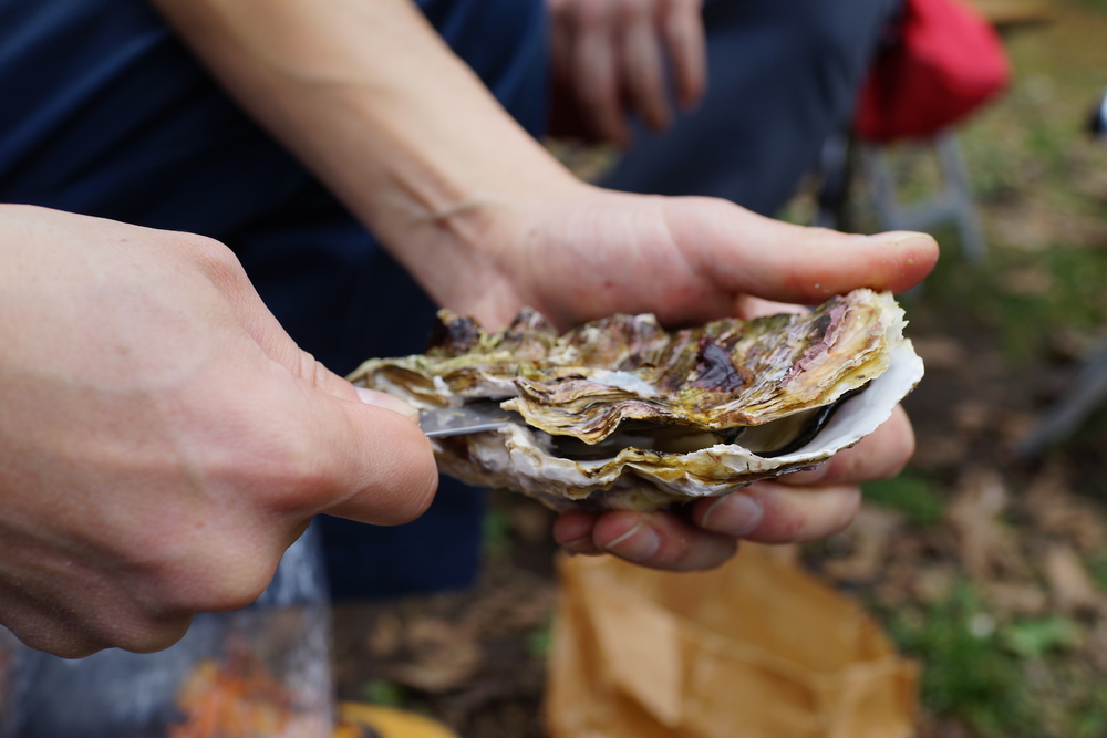 
					6 consejos para comer ostras