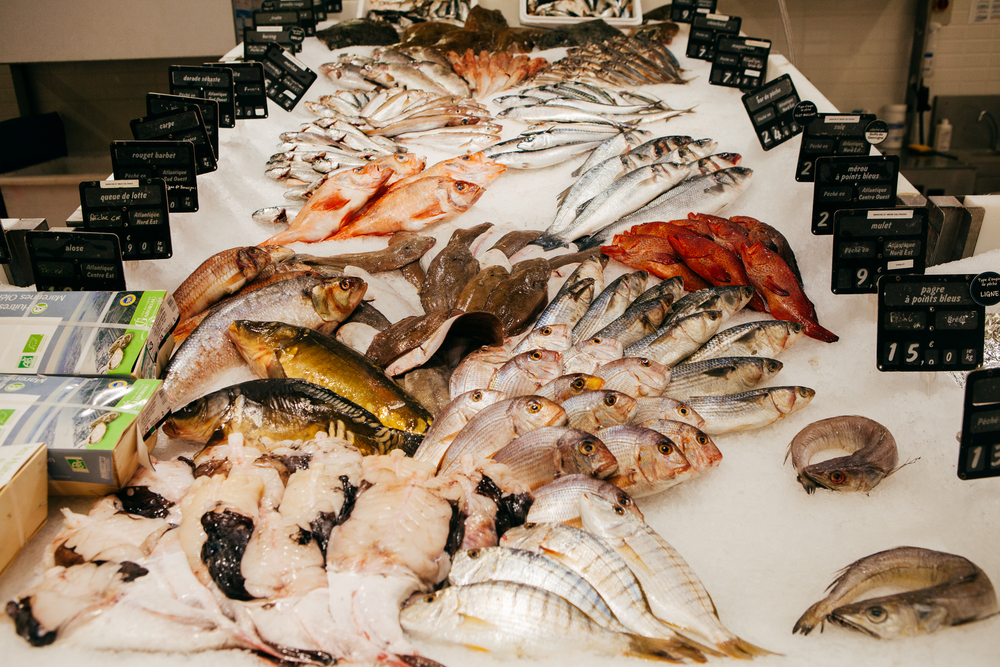 8 mercados de peces en el mundo que debes conocer