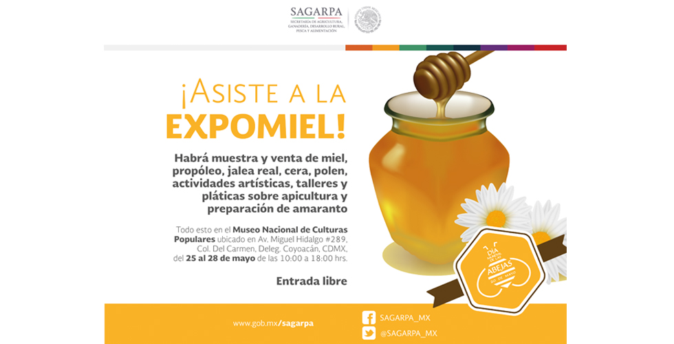 expo miel