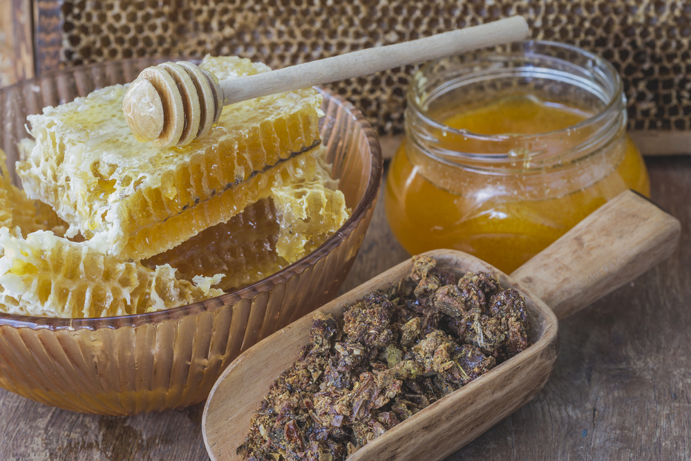 Expomiel una iniciativa que apoya la producción de miel en México