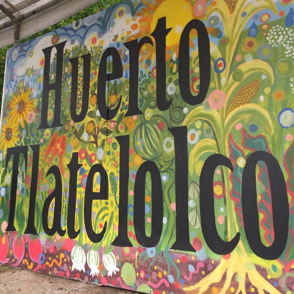 
	     ¡Celebra el 5to aniversario del Huerto Tlatelolco!