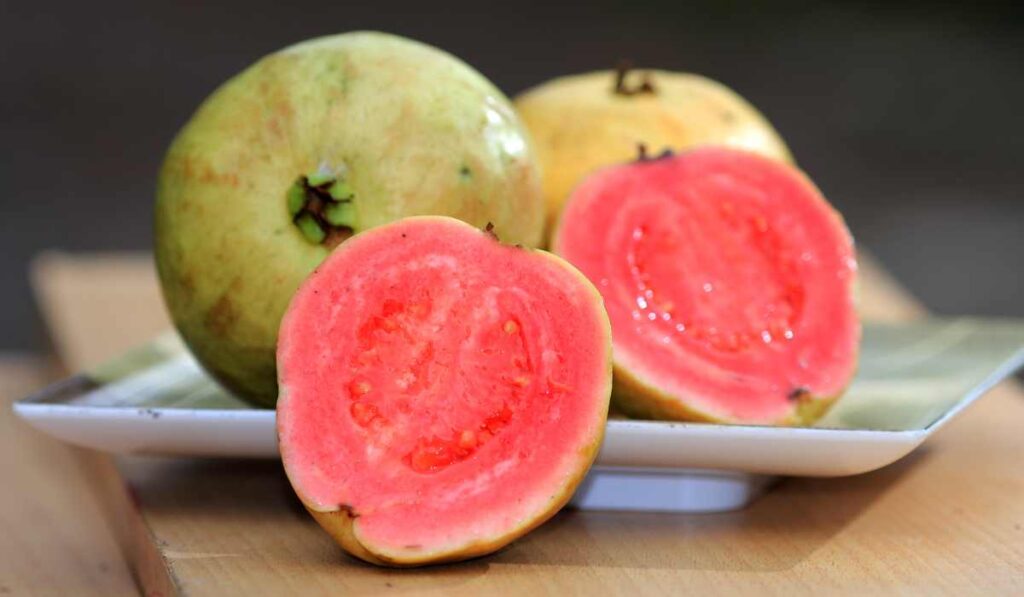 Origen y beneficios de la guayaba, todo lo que debes saber de esta fruta