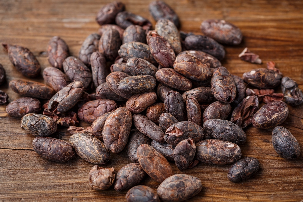 El cacao en la época precolonial. 0