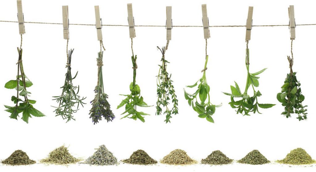 
					#QuizGourmet ¿Puedes reconocer estas hierbas aromáticas?