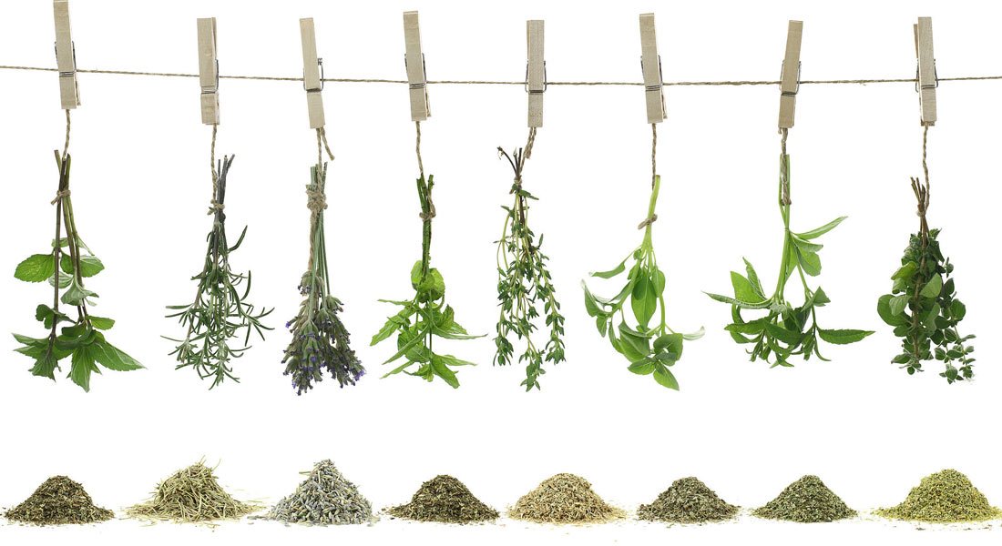 hierbas-aromaticas-para-comida.jpg