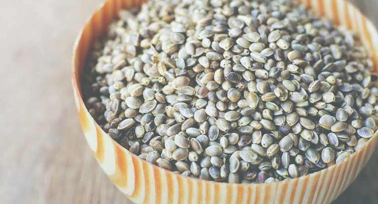 Origen y beneficios de las semillas de hemp