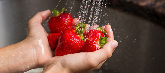 washing_strawberries_800x356-580×258