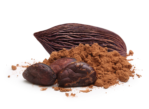 
					Diferencias entre cocoa y cacao