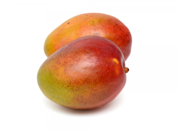mango_haden-la-fruta-tropical
