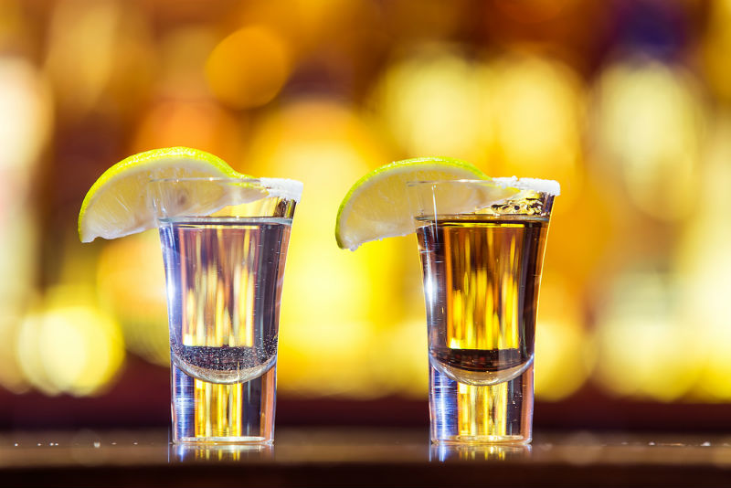 
	     ¿Cuál es la diferencia entre tequila y mezcal?