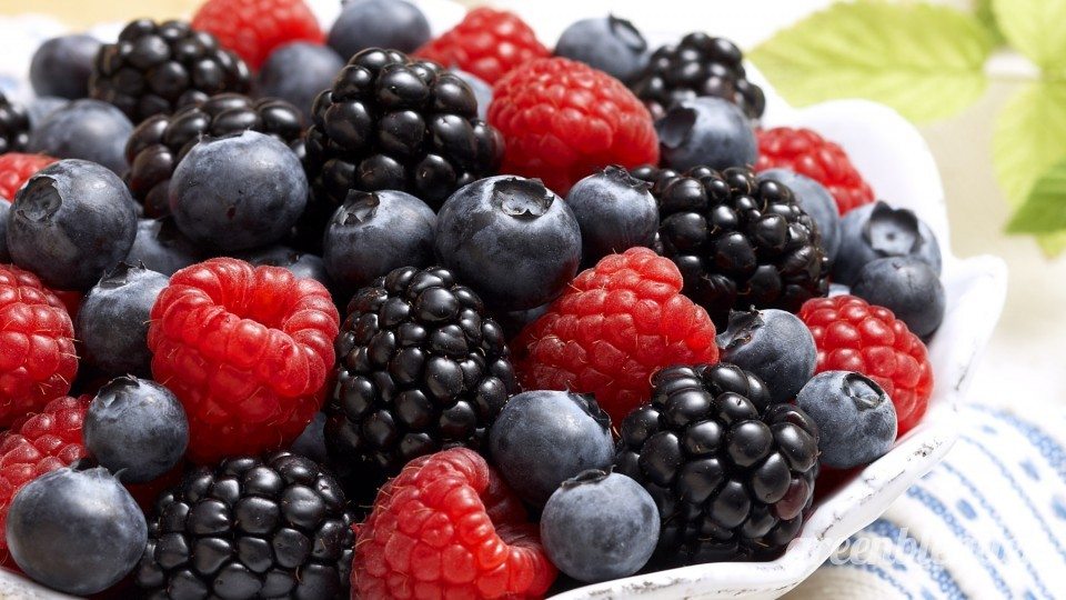 ingrediente-exportado-mexico-berries