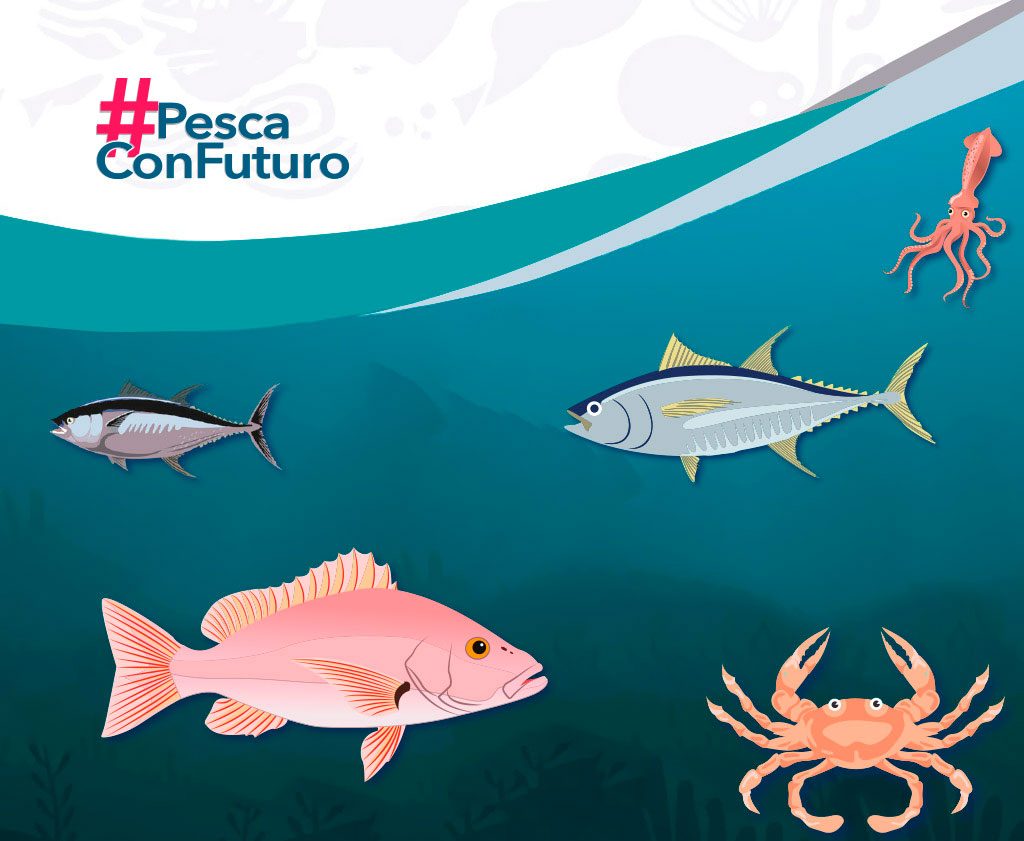 
	     Chefs y restauranteros se suman al movimiento #PescaConFuturo
