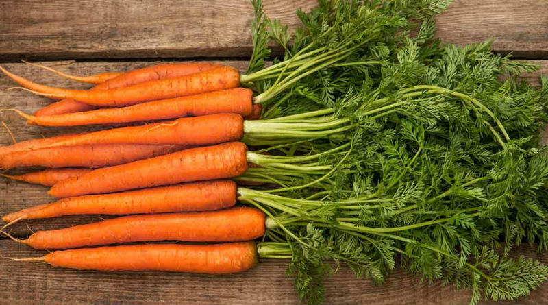 ingredientes-gourmet-temporada-otoño-zanahoria