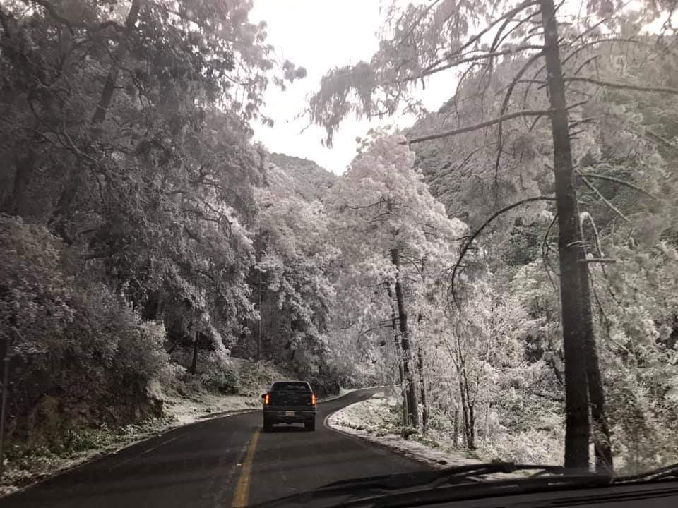 Hidalgo nieve