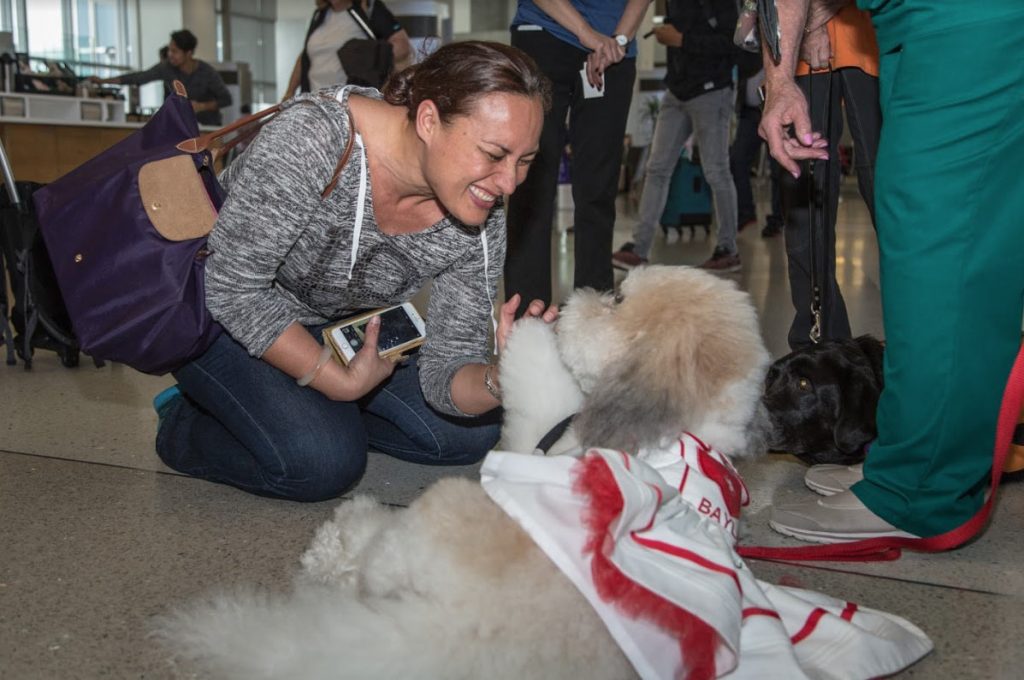 El aeropuerto de Los Ángeles tiene la mejor terapia anti-estrés: perritos 1