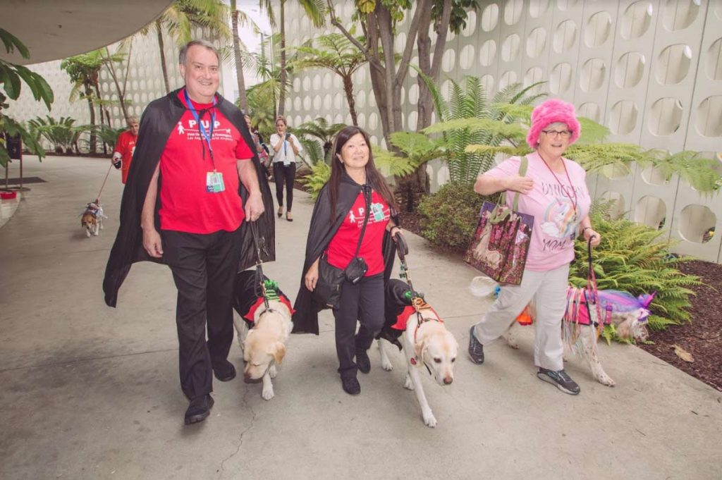 El aeropuerto de Los Ángeles tiene la mejor terapia anti-estrés: perritos 0