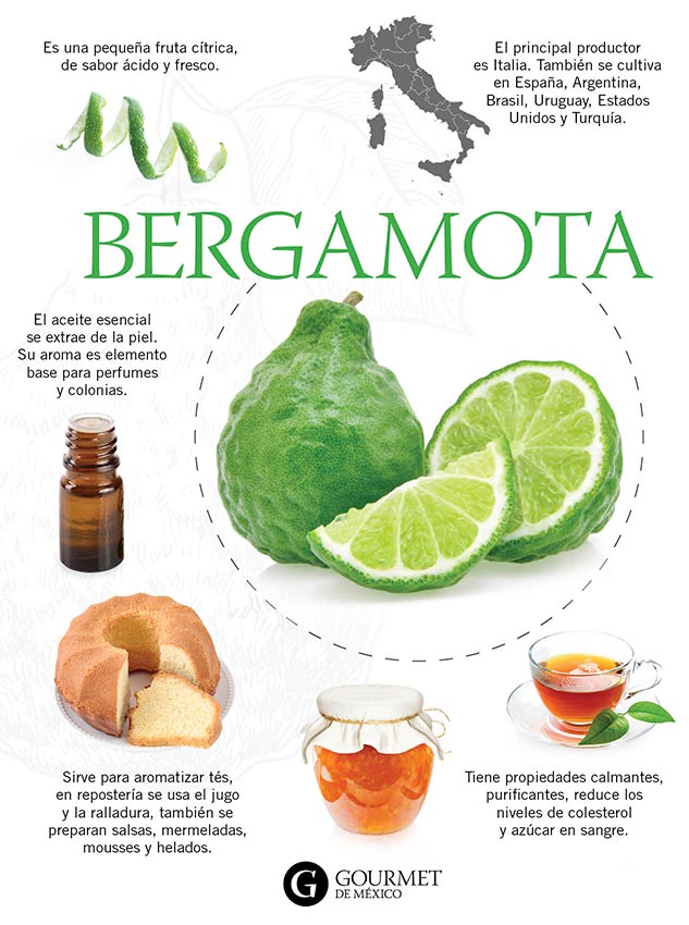 Usos Y Beneficios De La Bergamota Gourmet De Mexico