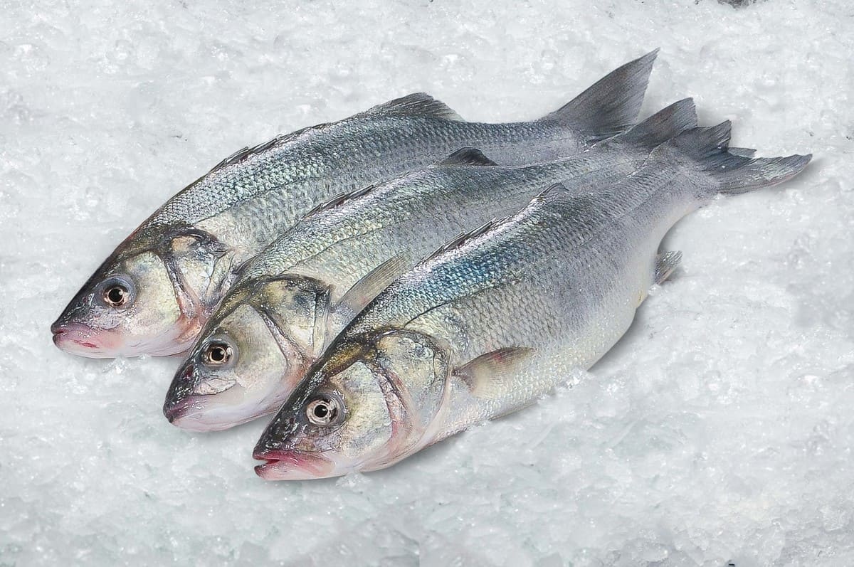 cuanto-cuesta-comer-kilo-pescado-gourmet-lubina