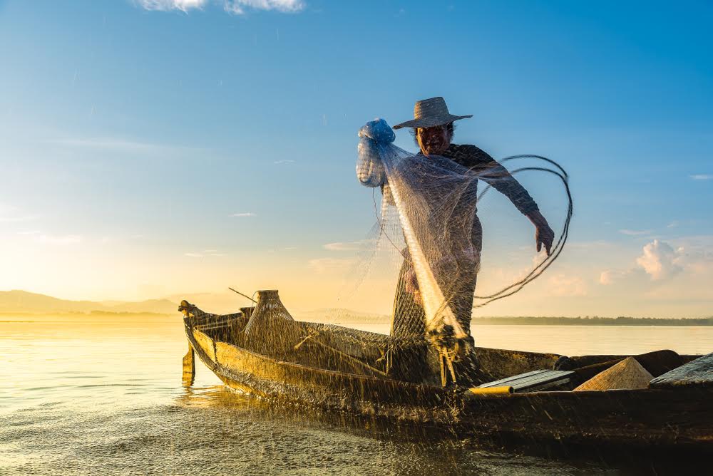 ¿Cuánto cuesta un kilo de pescado en México?