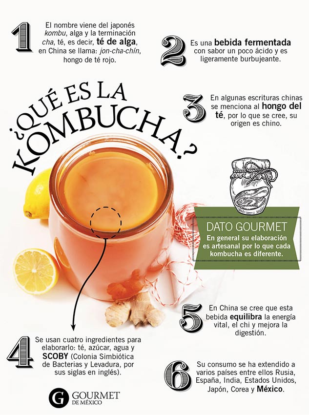 kombucha-origen-caracteristicas-gourmet