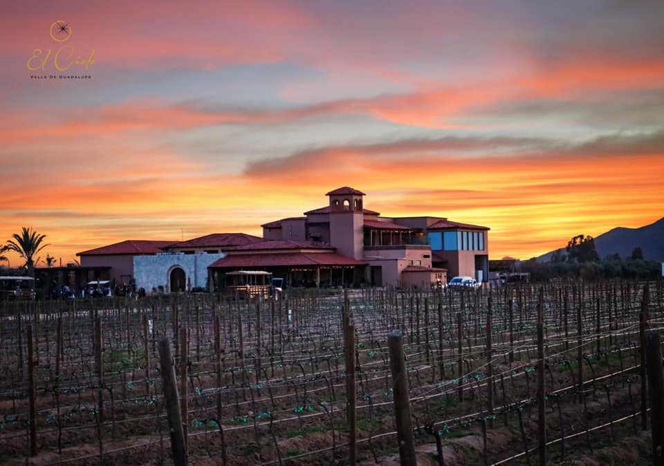 viñedos del valle de Guadalupe viñedo El Cielo Valle de Guadalupe hotel