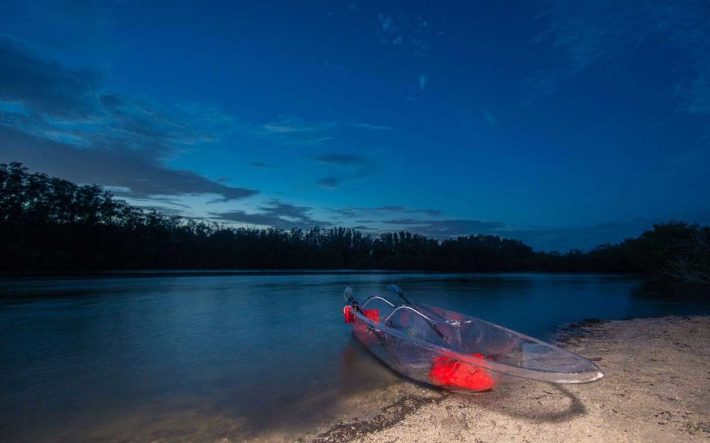 Bioluminiscencia en un kayak transparente en Florida