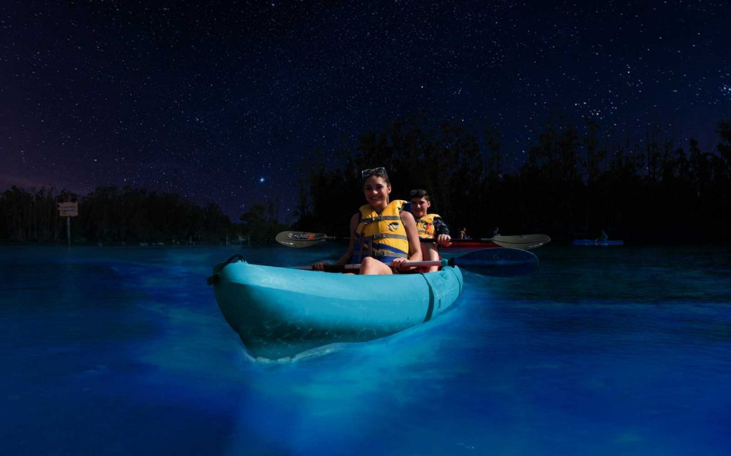 ¡Increíble! Bioluminiscencia en un kayak transparente en Florida 4