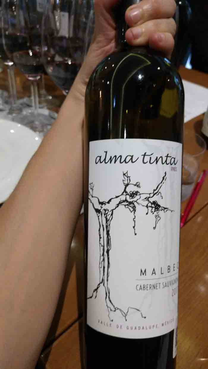 Alma Tinta malbec Cabernet sauvignon cata a ciegas de vinos mexicanos en Margaret