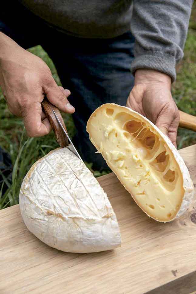 elaboración de queso 