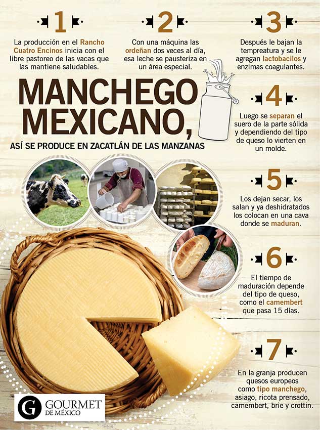 queso-manchego-mexicano-produccion-gourmet