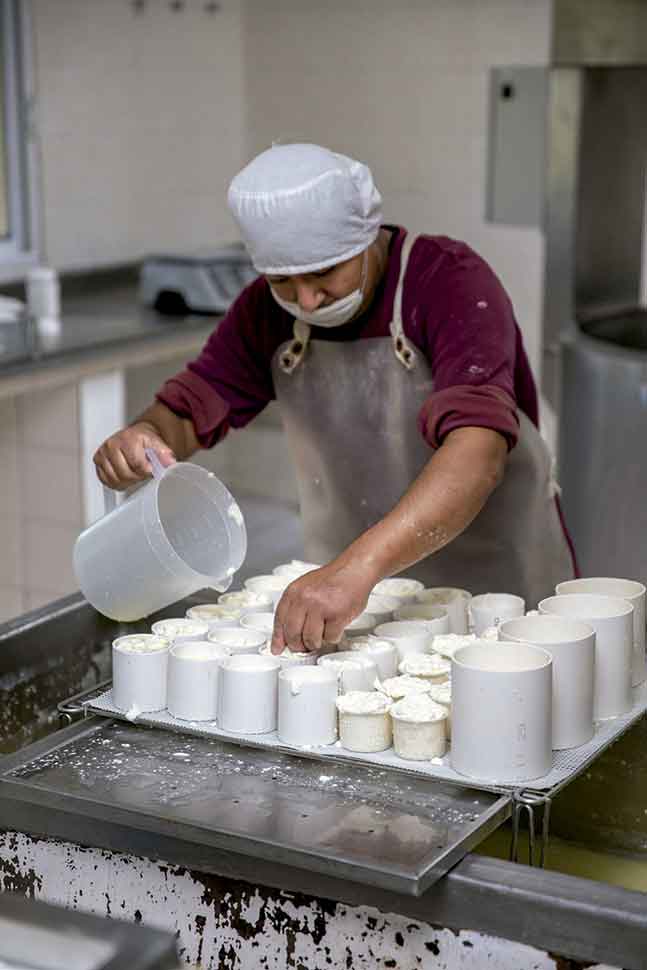 elaboración de queso 