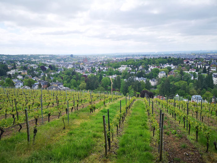 Wiesbaden vista desde neroberg
