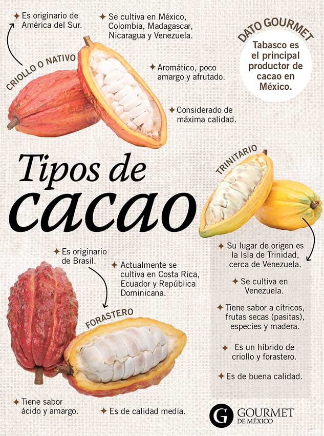 tipos-cacao-gourmet