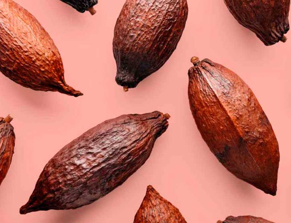 
					¿Cuáles son los tipos de cacao?