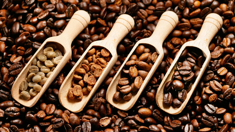 cafe-y-cacao-industria-gourmet-2