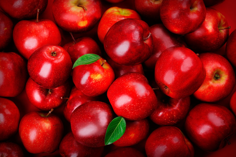 historia-de-la-manzana-gourmet-rojas