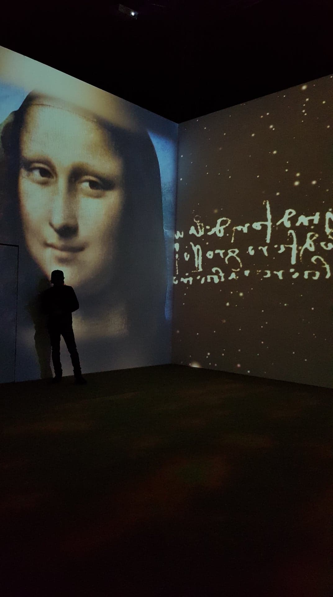 Da Vinci Experience mona lisa
