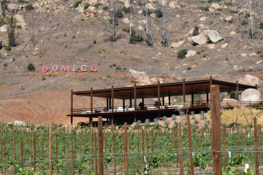 tendencias vinos mexicanos valle de guadalupe