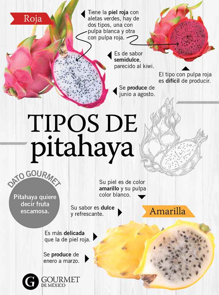 infografía de pitahaya