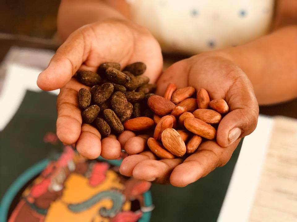 yoom-chocolates-artesanales-mexicanos-cacao
