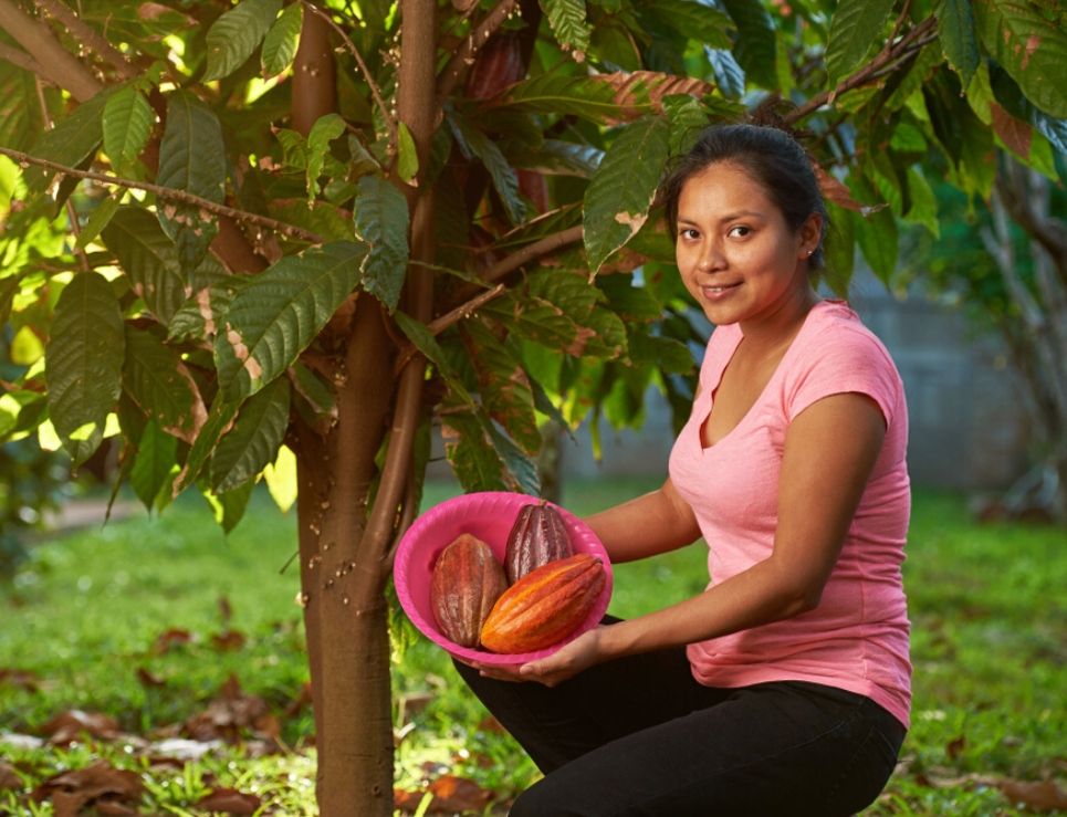 mujer cosechando cacao